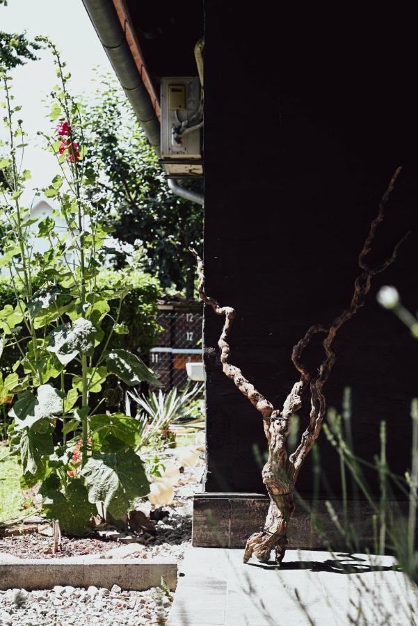 House For Rest Juliet Velika Gorica Exterior foto